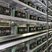 Mining farm with multiple mining rigs in operation