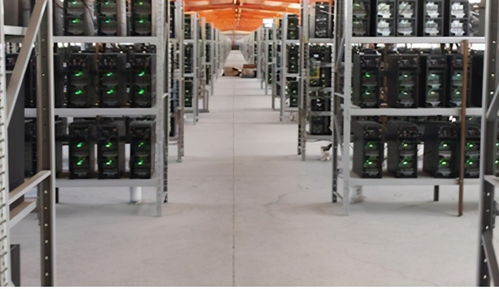 High-performance Scrypt ASIC mining rig optimize Dogecoin mining profits